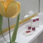 Hotel Lagomaggio Rimini